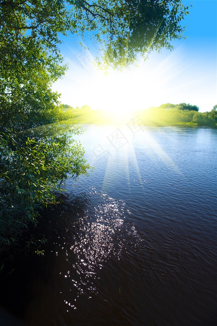 耀眼阳光与树木湖景