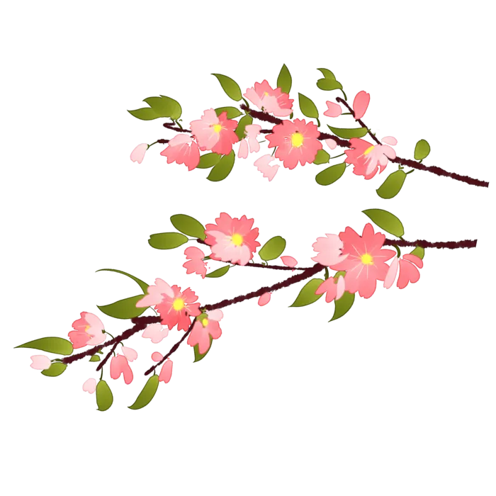 春天浪漫粉红色樱花手绘樱花梅花桃花花朵图片PNG免扣素材