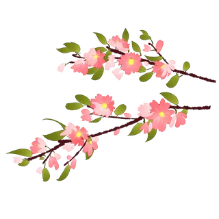 春天浪漫粉红色樱花手绘樱花梅花桃花花朵图片PNG免扣素材