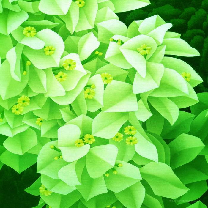唯美白色花朵油画