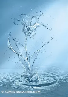 精美水花水滴组成的花卉高清图片