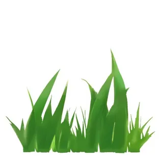 草丛叶子绿叶免抠