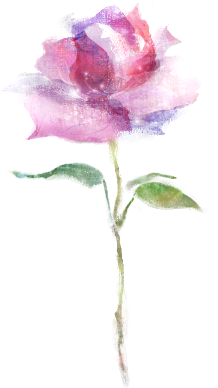 鲜花玫瑰免扣素材