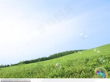 草原与肥皂泡