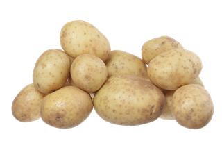 土豆 (16)超市商品白底图免抠实物摄影png格式图片透明底