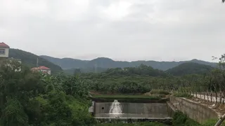 水流大树青山摄影图