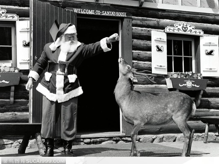 黑白效果图—圣诞老人在家门口喂养梅花鹿