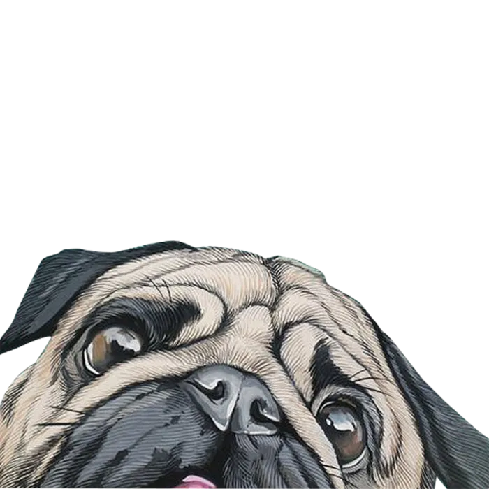 卡通狗头简笔3