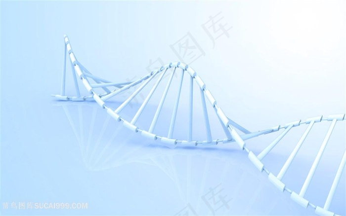 DNA基因链条分子结构