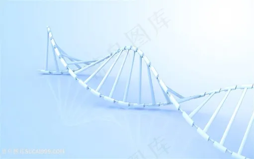 DNA基因链条分子结构 DNA基因链条分子结构