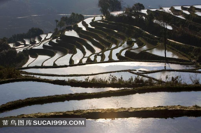 美丽的梯田美景摄影素材