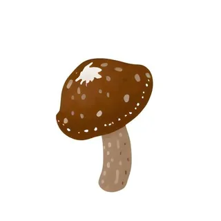 蘑菇免抠