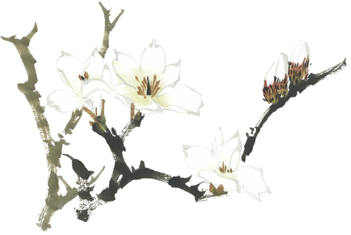 中国风国画水墨花卉素材