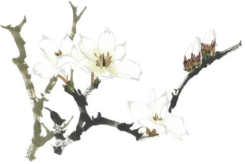 中国风国画水墨花卉素材