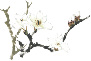 中国风国画水墨花卉素材