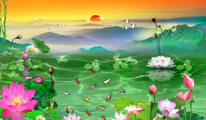 荷花绿湖九鱼鱼群风景