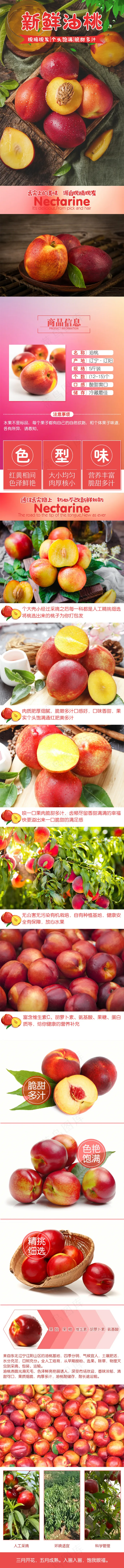 油桃详情页psd模版下载