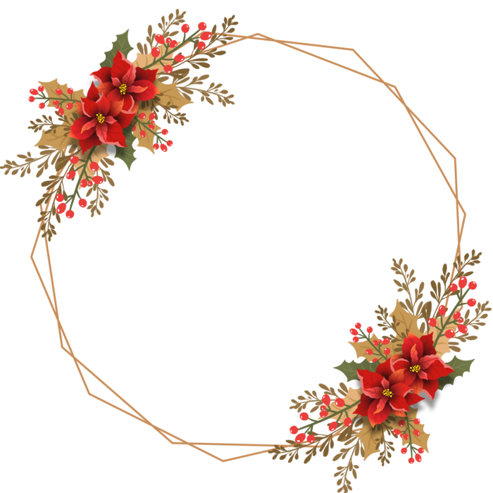 新年一品红花卉边框