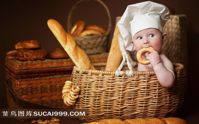 篮子里吃面包的小宝宝