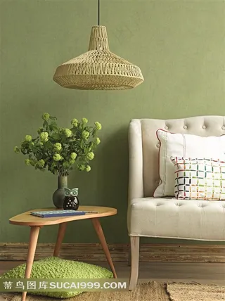 欧美家居摄影作品绿色调