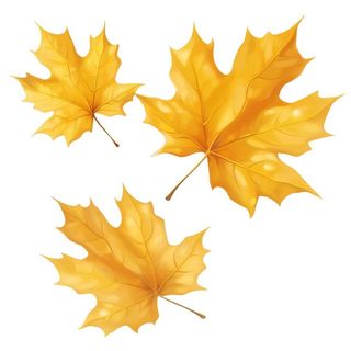 黄色的叶子免抠