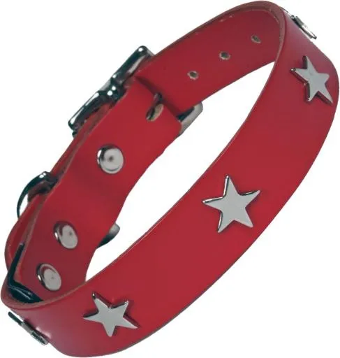 狗项圈 PNG免抠(885x930)