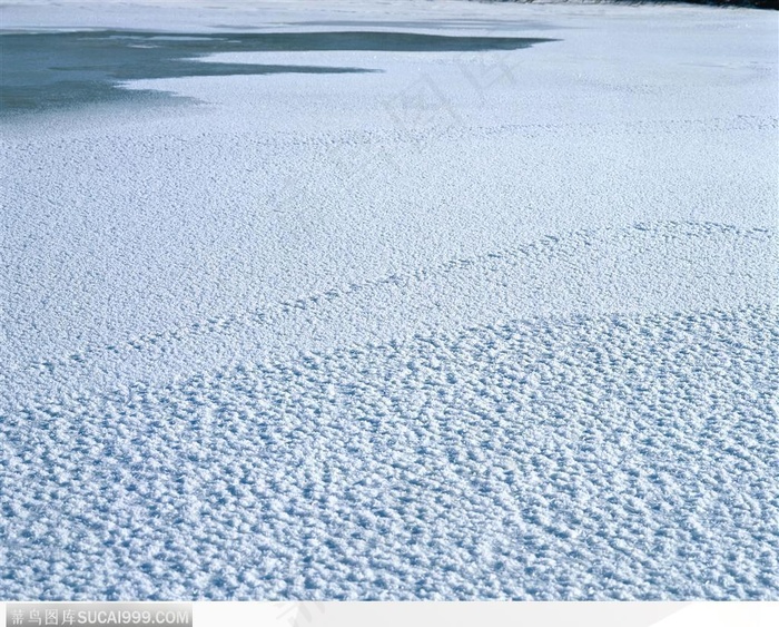 冬日美景-美丽的雪地景观