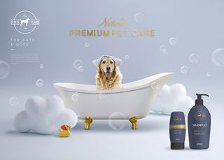 品宠物用品宣传广告