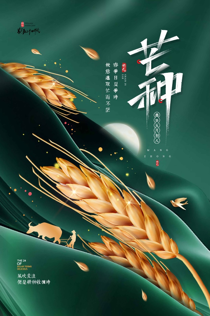 芒种 芒种宣传营销psd模版下载