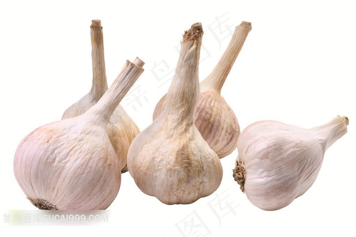 高清摄影大蒜摄影素材