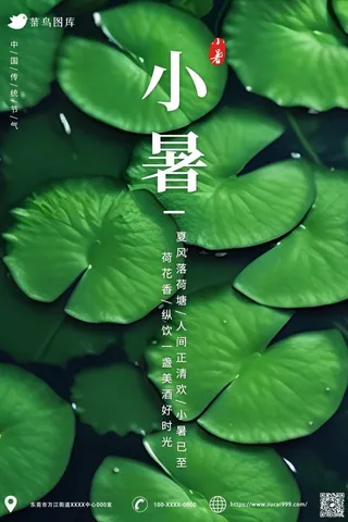 小暑节气荷叶绿色简约海报
