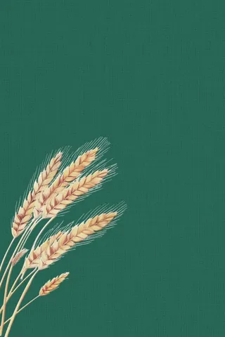 绿色国风简约小麦背景