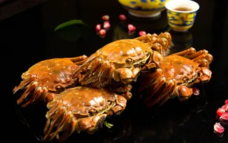 夏季螃蟹摄影图