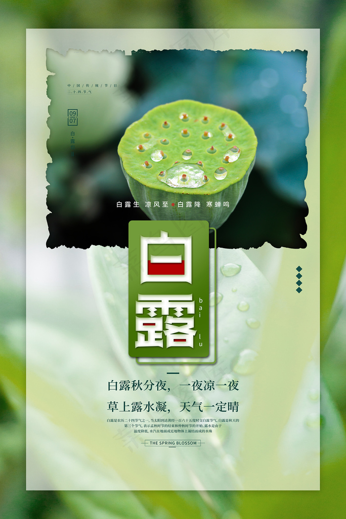 时尚创意二十四节气白露节海报psd模版下载