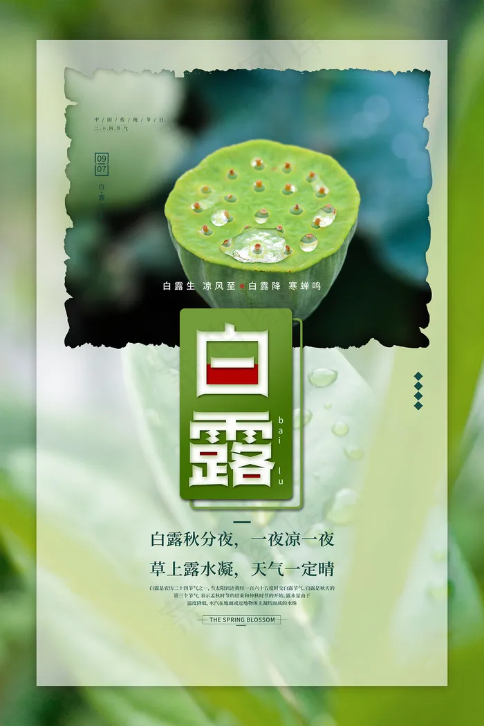 时尚创意二十四节气白露节海报psd模版下载