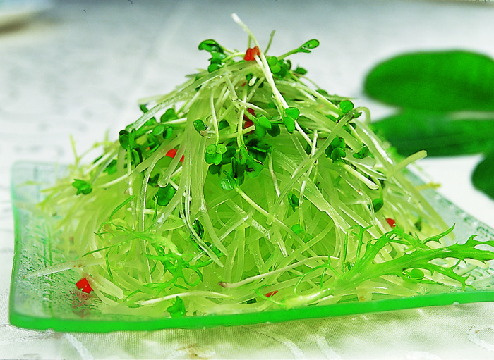 0911LCS-938笋丝萝卜苗