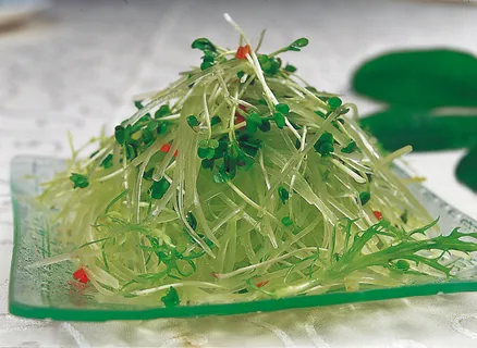 0911LCS-938笋丝萝卜苗