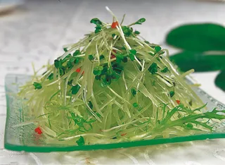 0911LCS-938笋丝萝卜苗