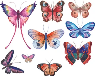 简约风春天蝴蝶昆虫元素插画