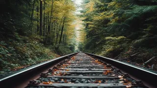 森林里的火车铁路轨道摄影图