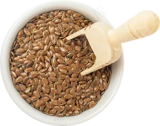 07_Flax Seeds