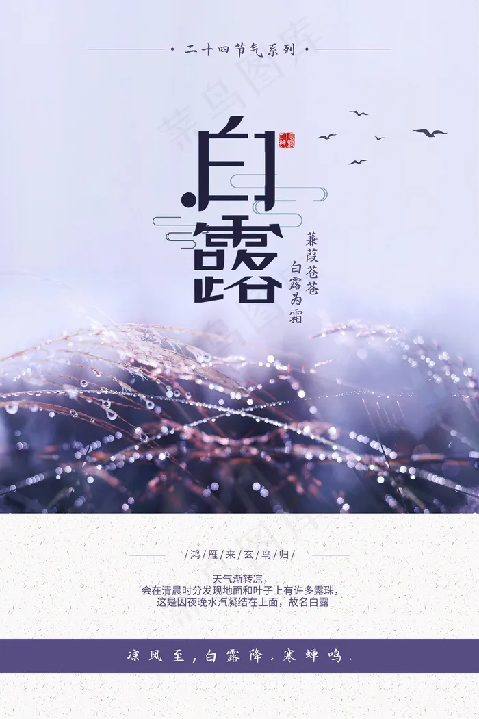 时尚创意二十四节气白露节海报psd模版下载