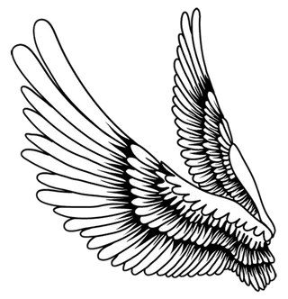 翅膀卡通线条