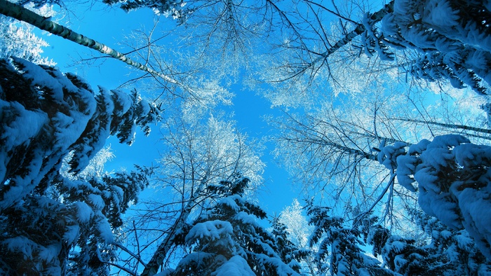 唯美高清雪景风景