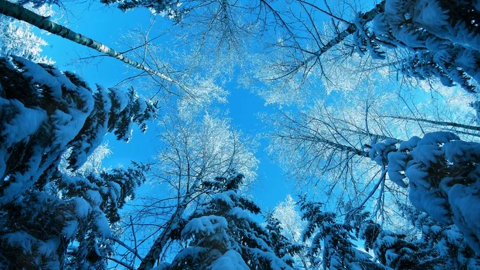 唯美高清雪景风景