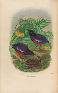 高清花朵树叶下的小鸟水彩油画图片