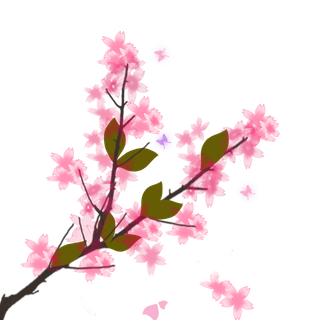 春天浪漫粉红色樱花手绘樱花梅花桃花花朵图片PNG免扣素材