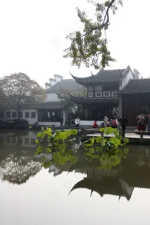 古建筑前池塘里的荷叶