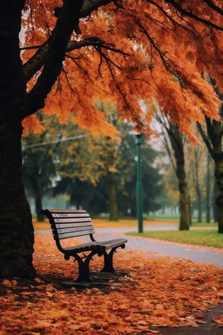秋意浓公园长椅落叶摄影图