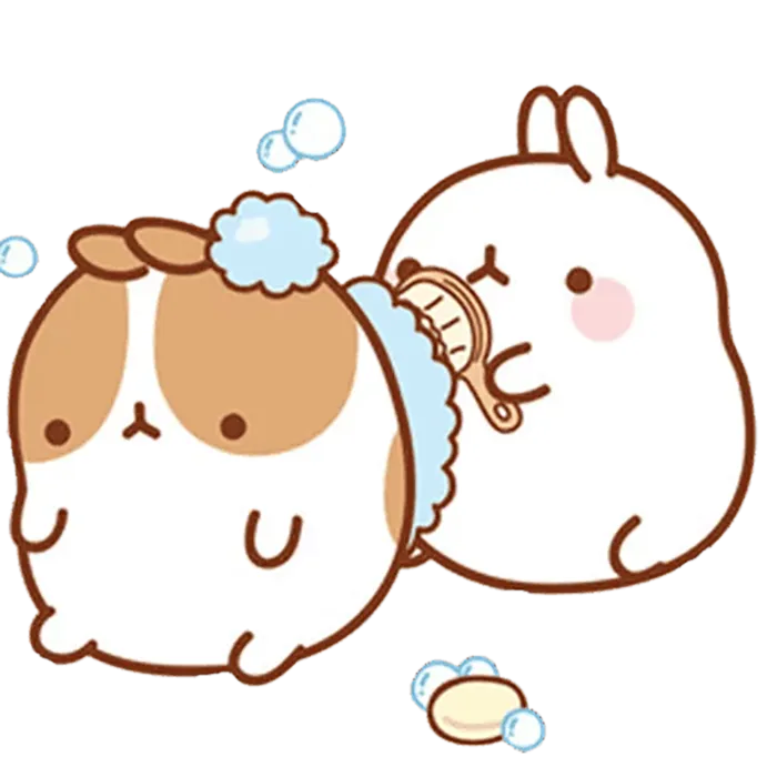 搓背兔子兔年